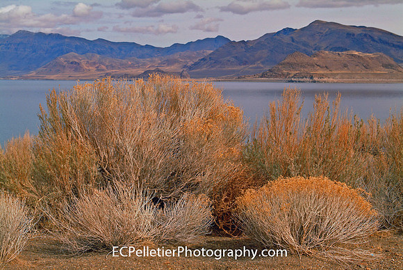 Pyramid Lake