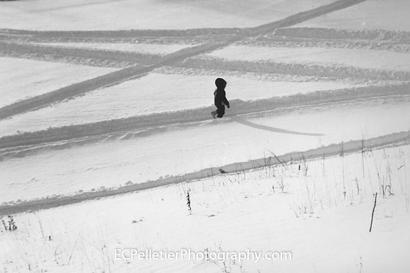 Snow Walk