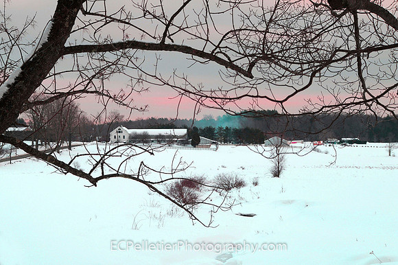 Worthington Winter, Worthington, MA