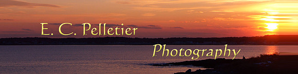 Setting Sun Logo